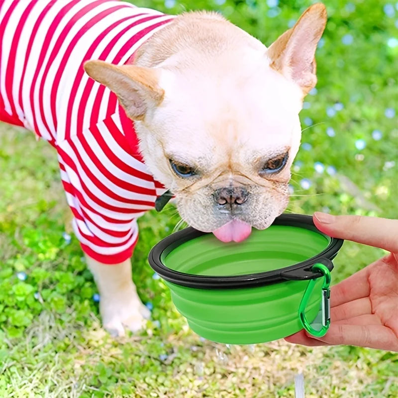 Collapsible Pet Travel Bowl