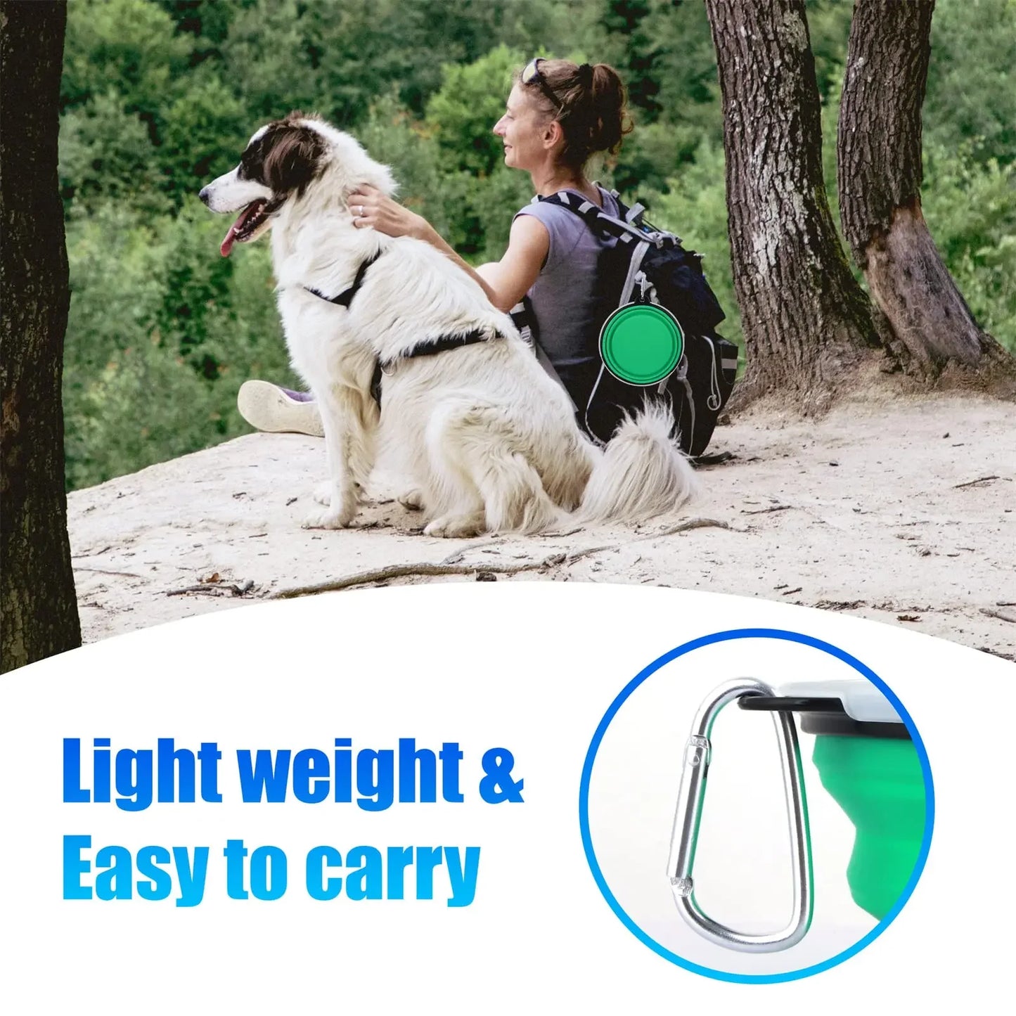 Foldable Silicone Pet Travel Bowl with Hook