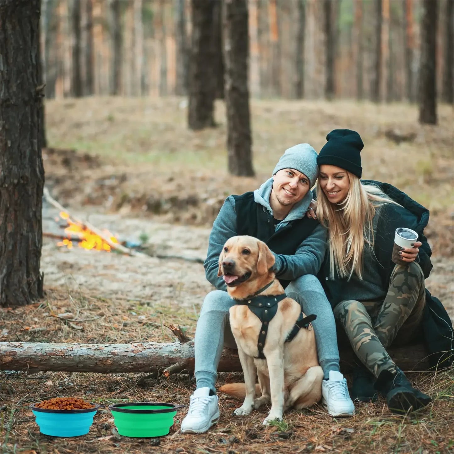 Foldable Silicone Pet Travel Bowl with Hook