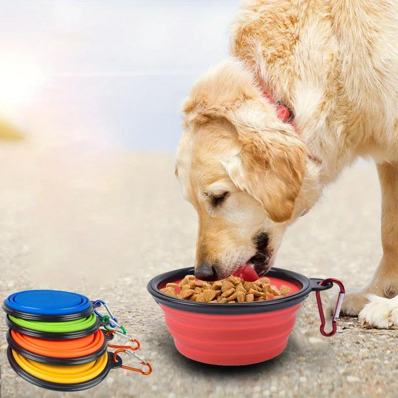 Foldable Dog Travel Bowl with Spill-Proof Lip